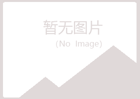 无锡惠山如松金融有限公司